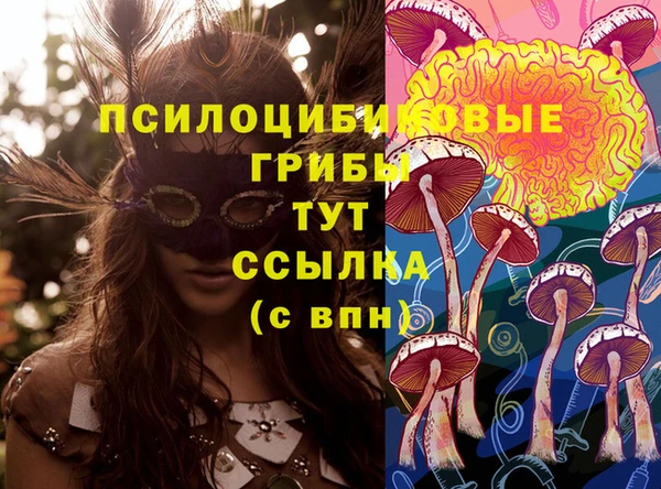 PSILOCYBIN Бородино